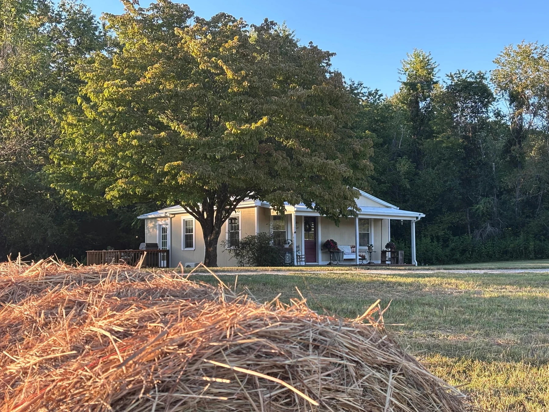 The charming cottage beneath a large tree at James River Refuge