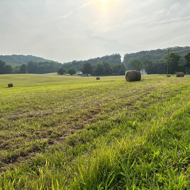 Green open fields with hay bales and wooded hills