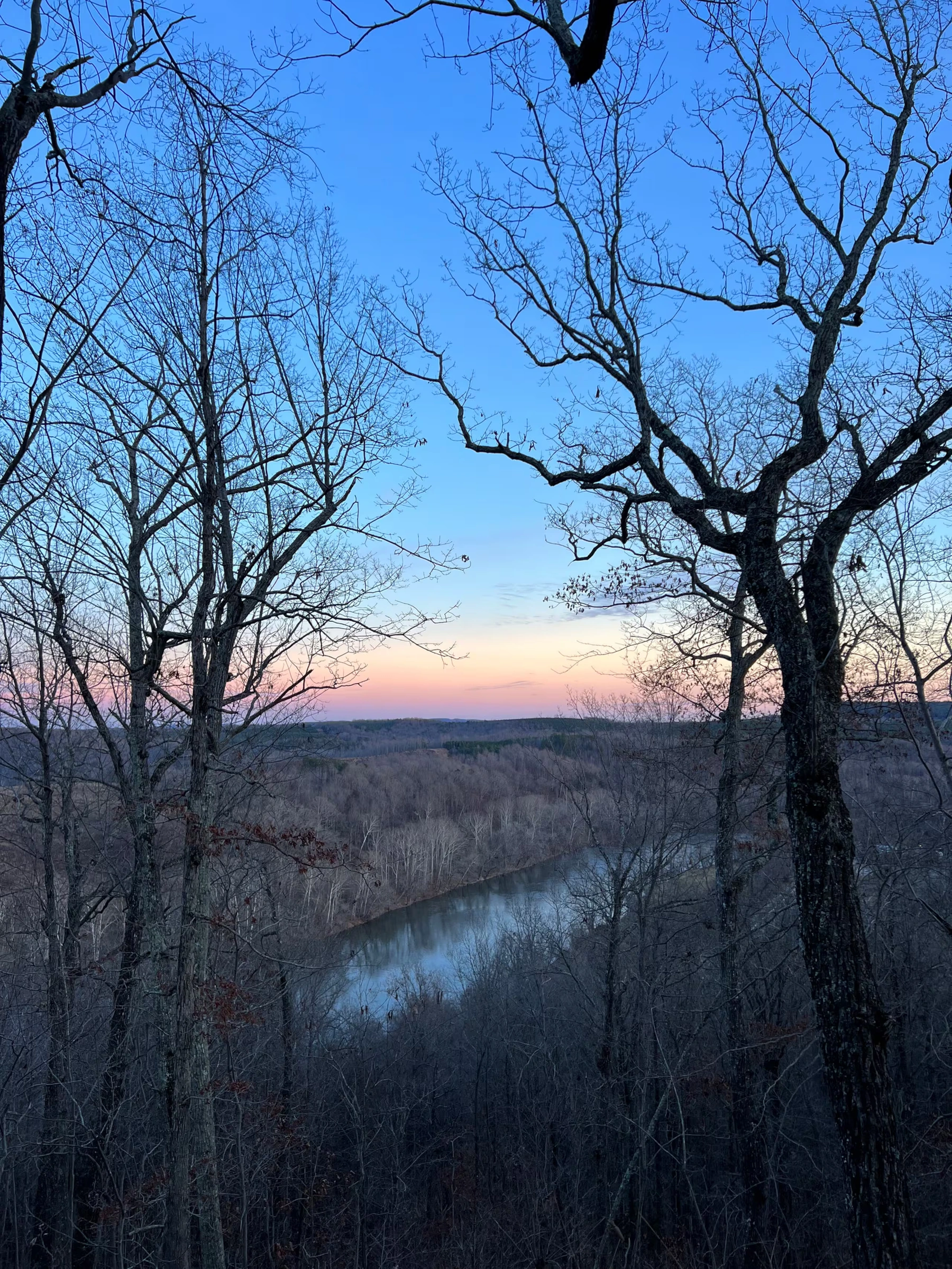 A peaceful view of the James River framed by woodland